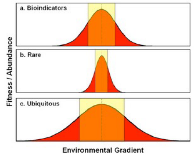 Fitness of Several Types of Indicator