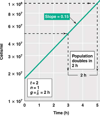 A Semi-Log Plot