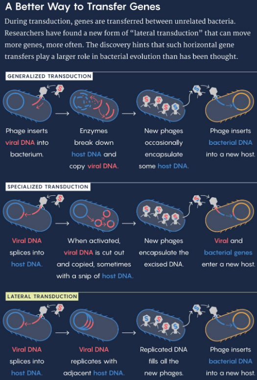 Types of Transductions