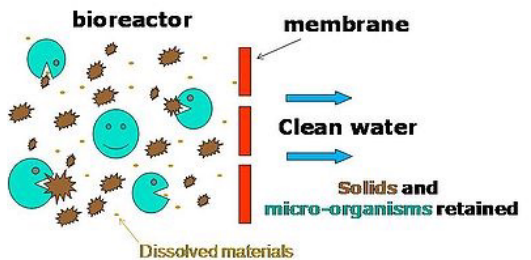 Membrane Bioreactors