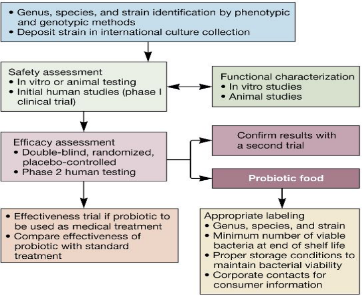 Probiotic Development Process