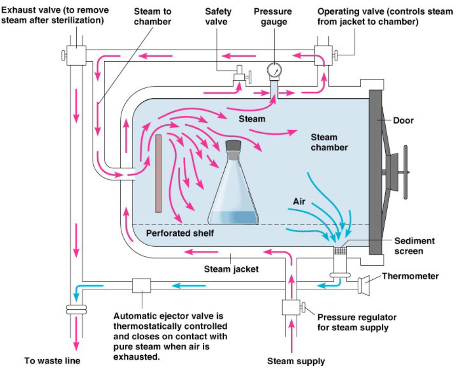 Autoclaving Kills Microbes