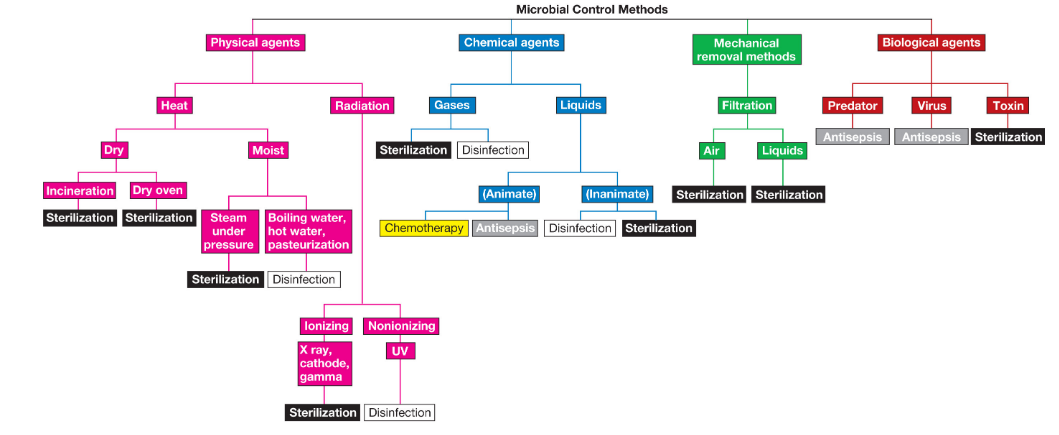 Everything Discussed Previously in a Graphic