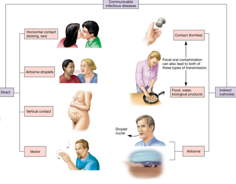 Modes of Transmission