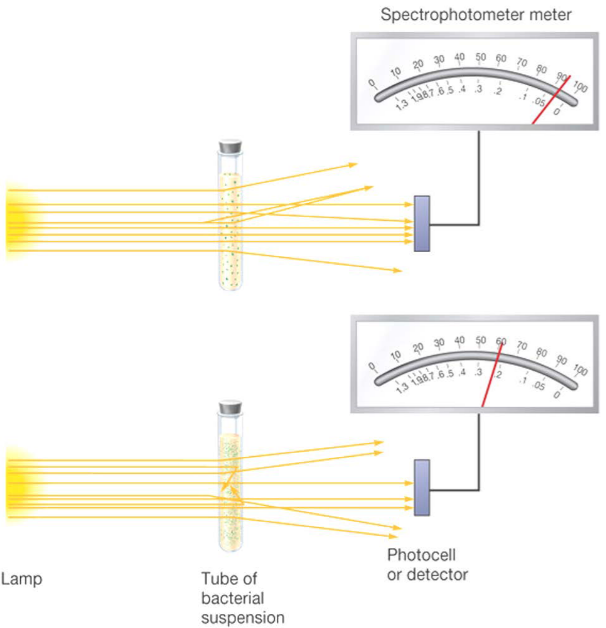 Using a Turbidometer to Count Cells