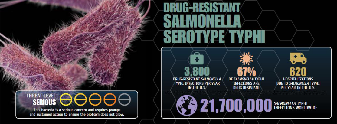 Typhus-Causing Salmonella