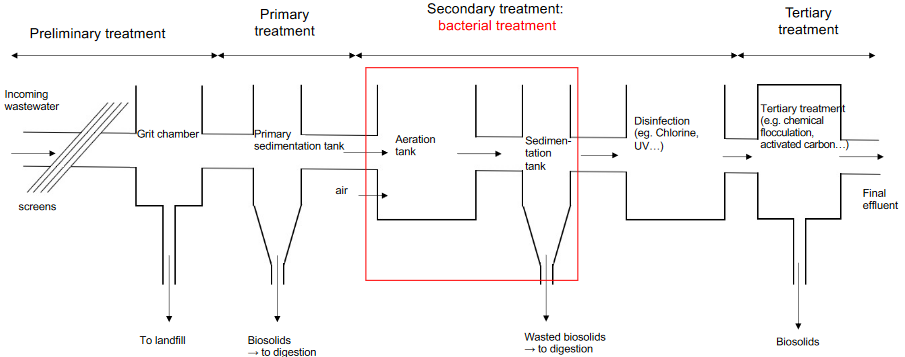 General Schematic of a Wastewater Plant