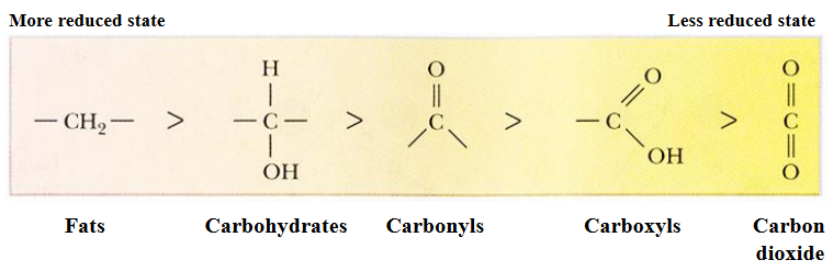 Carbon Reductions