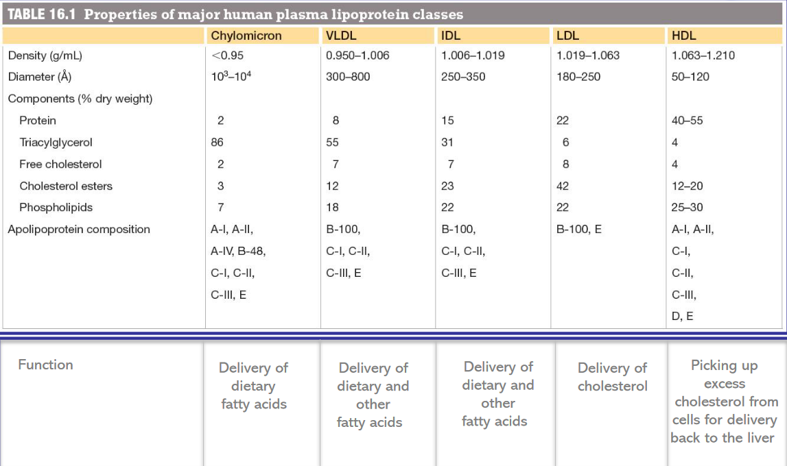 Classification of Lipoproteins