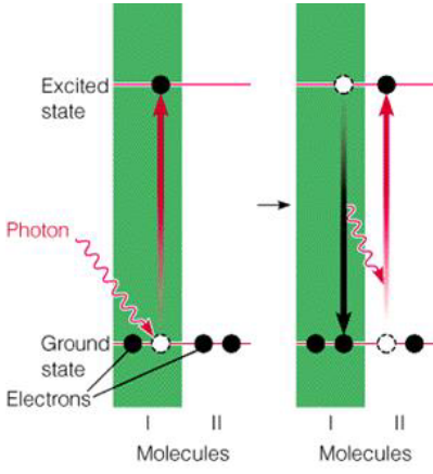 Molecule Excitation