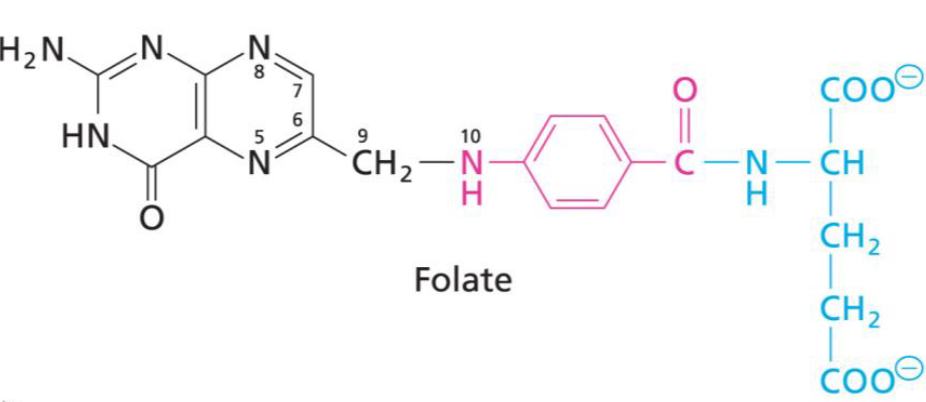 Structure of Folate