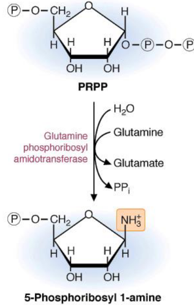 IMP Synthesis