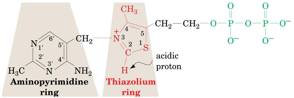 Structure of TPP