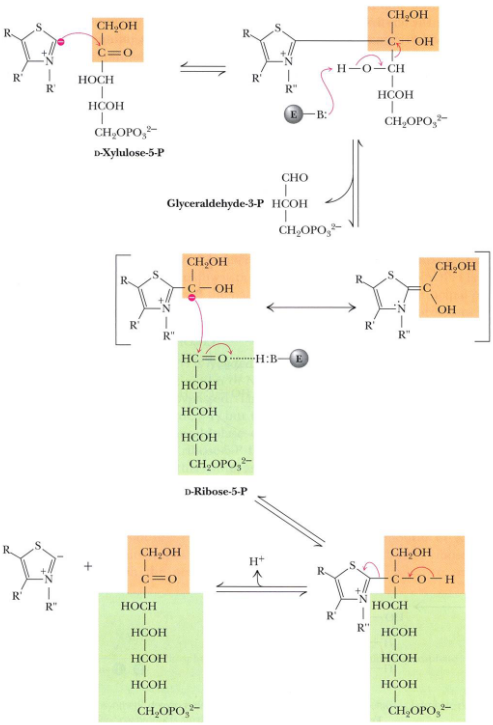 Transketolase Reaction