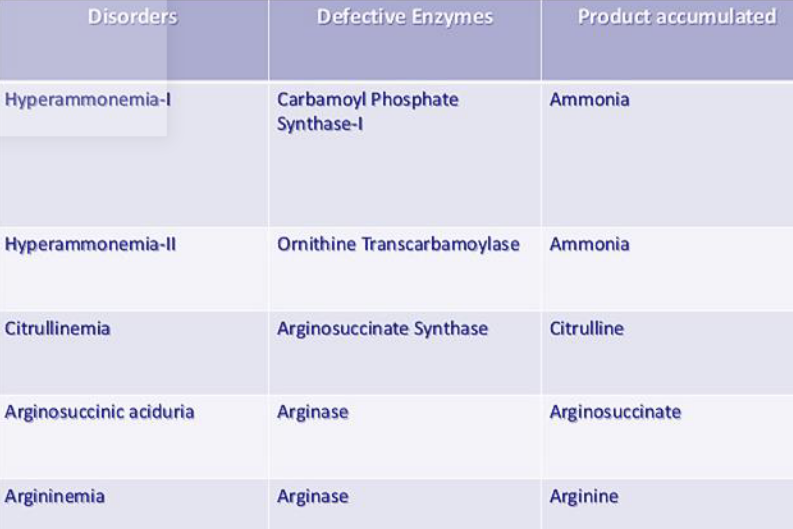 Disorders of the Urea Cycle