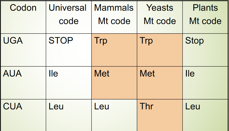 Variant Mitochondrial Genetic Codes