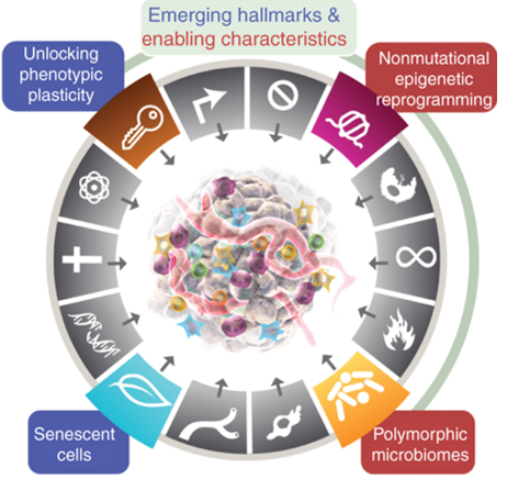 Four New Hallmarks of Cancer