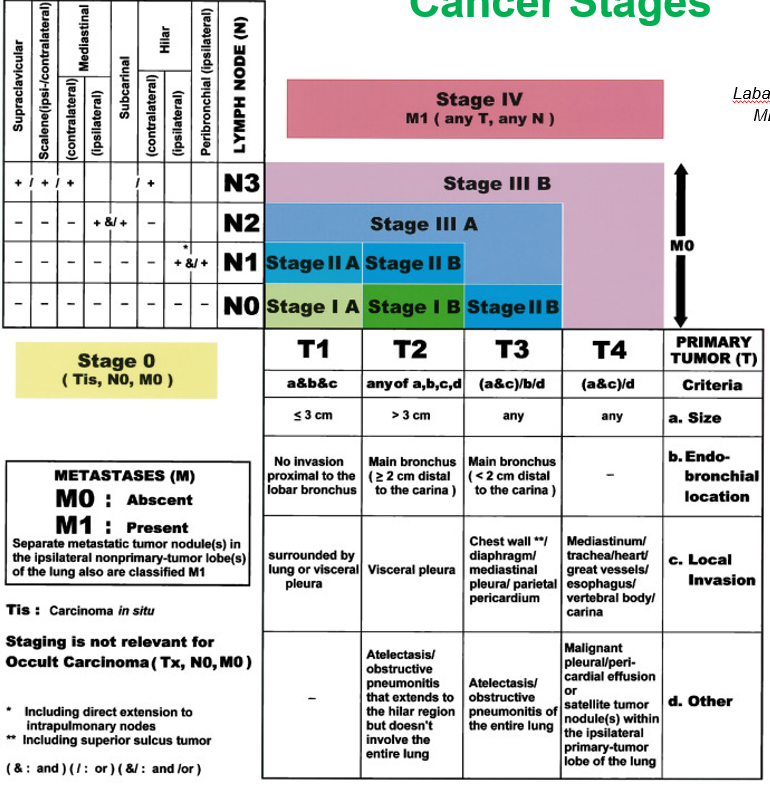 The TMN System of Classifying Lung Cancers