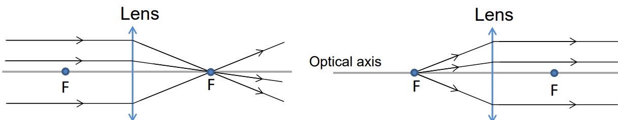 Convergence and Divergence of Light in a Lens