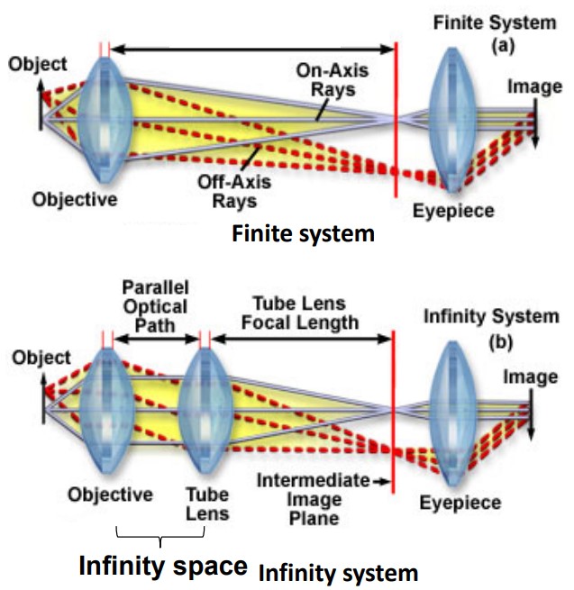 Differences Between Finite and Infinite Systems
