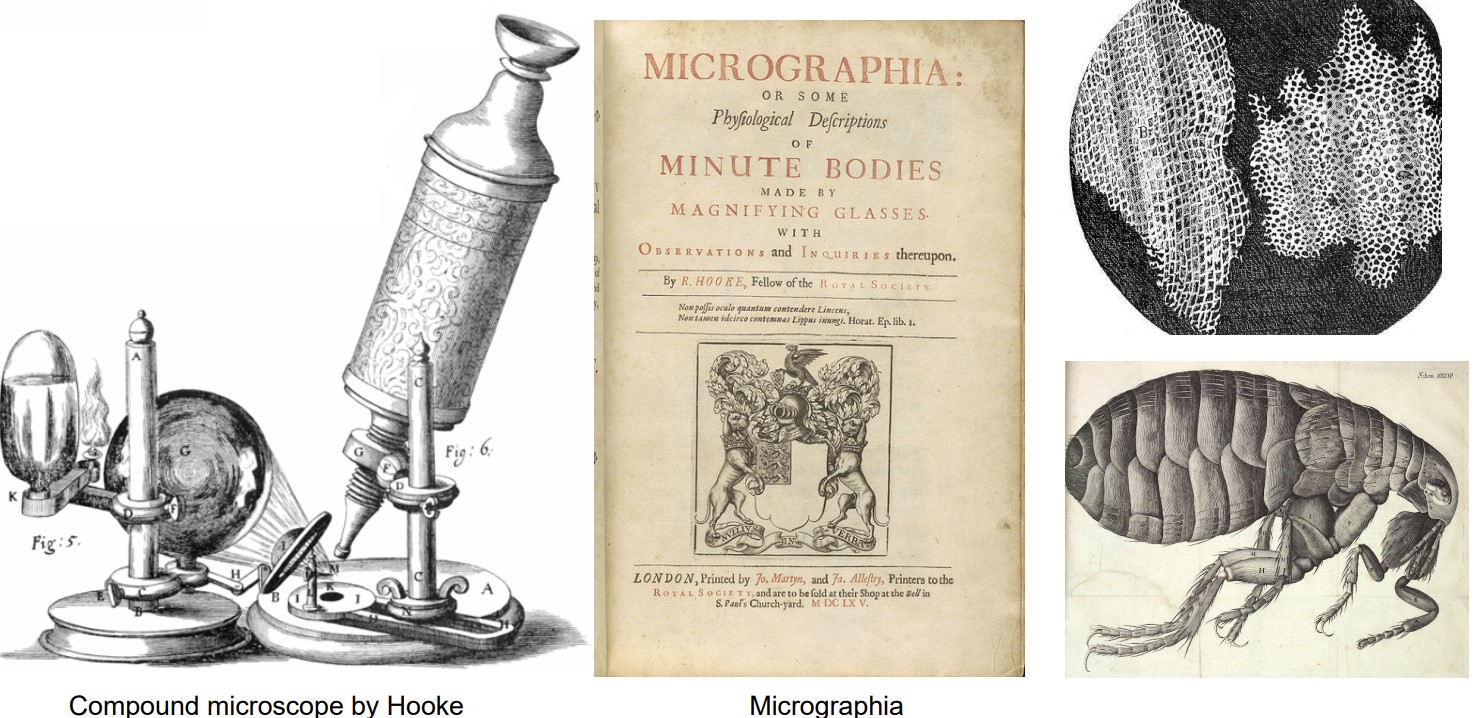 (from left to right) Robert's Compound Microscope, his Published Work, and some of his Sketches.