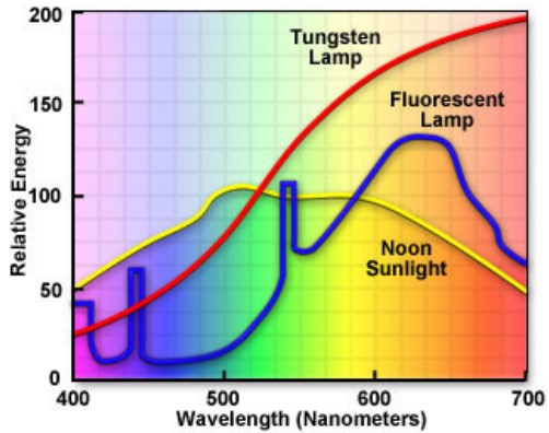 Spectrum of Tungsten and Flourescent Light
