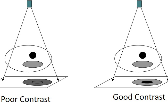 Contrast Illustrated