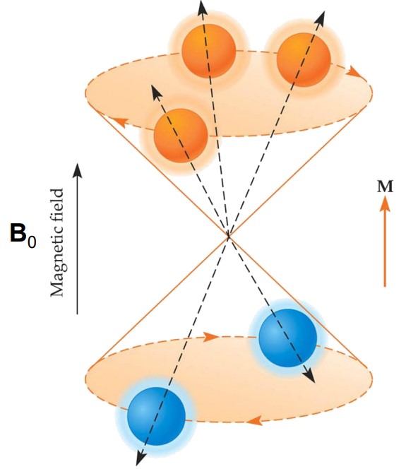 Illustration of a Magnetic Field