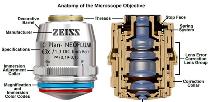 Anatomy of an Objective Lens