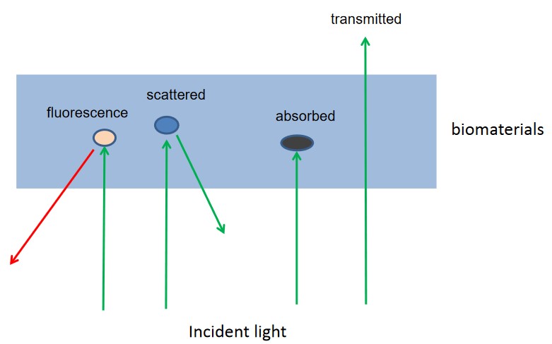 Diagram Illustrating How Light Transmits