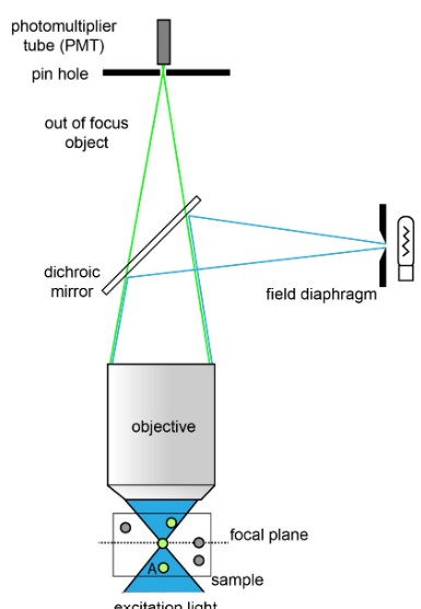 A Sample Confocal Microscope