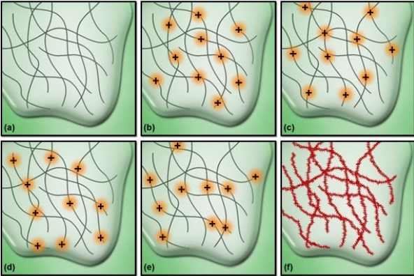 Super-Resolution Microscopy