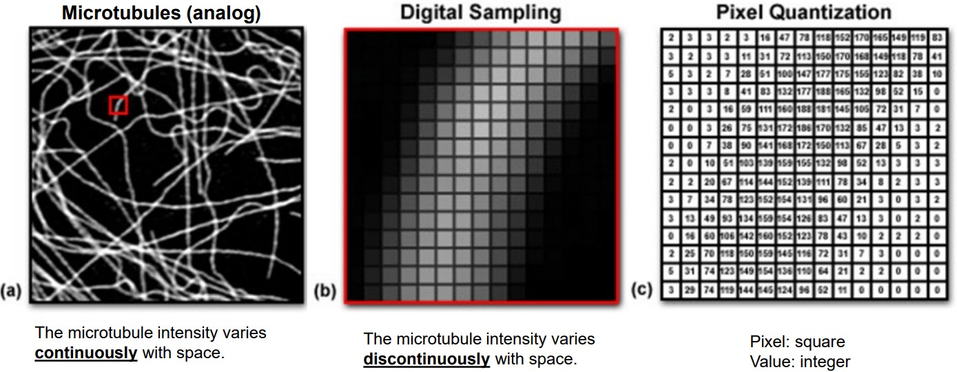 Steps in Imaging