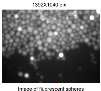 A Photograph of Fluorescent Spheres