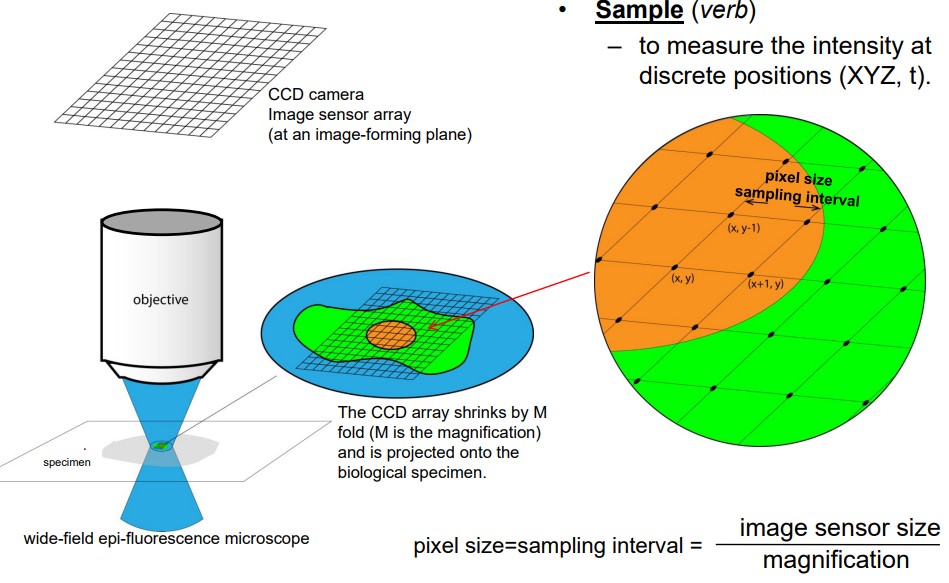 Visual Explanation of Digital Imaging