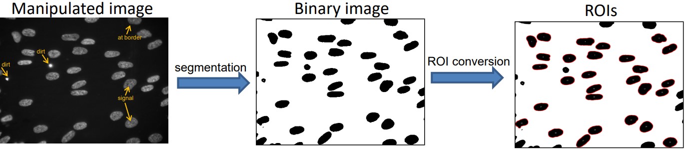 Segmentating and Generating ROIs for Hoechst33342-Stained Cells