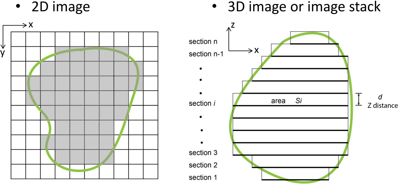 Volume Measurements for 2D and 3D Images