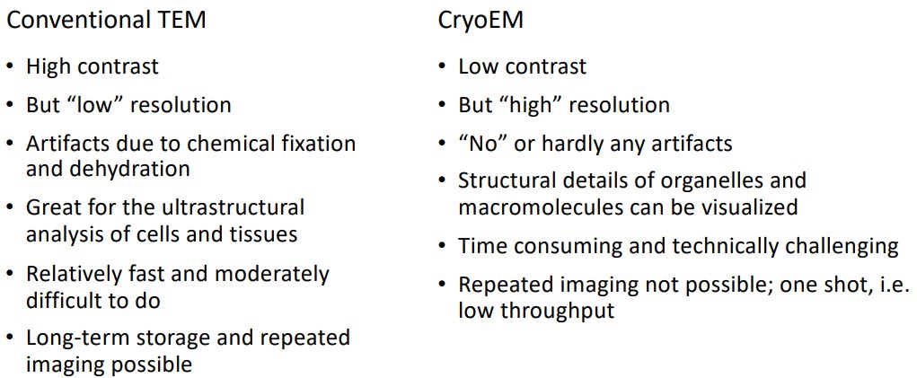 Differences Between Cryo EM and TEM
