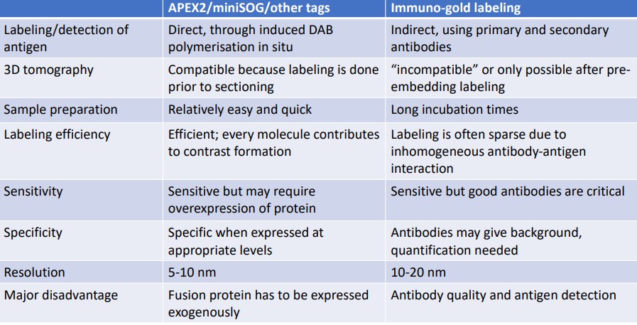 Comparisons Between Immuno-Gold Labeling and Other Staining Techniques