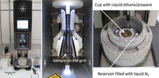 A Typical Plunge Freezing Setup