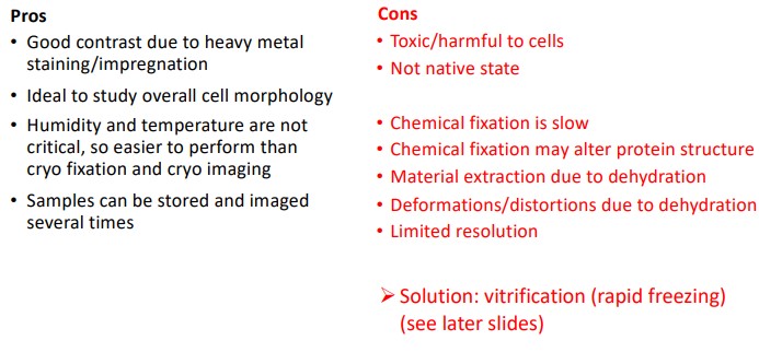 Pros and Cons of Using Conventional Sample Preparation for TEM