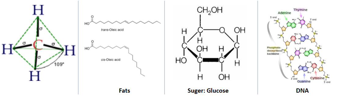 Biomolecules of Life