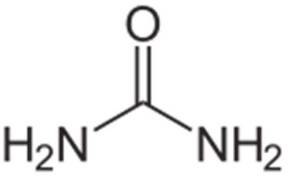 Structural Formula of Urea