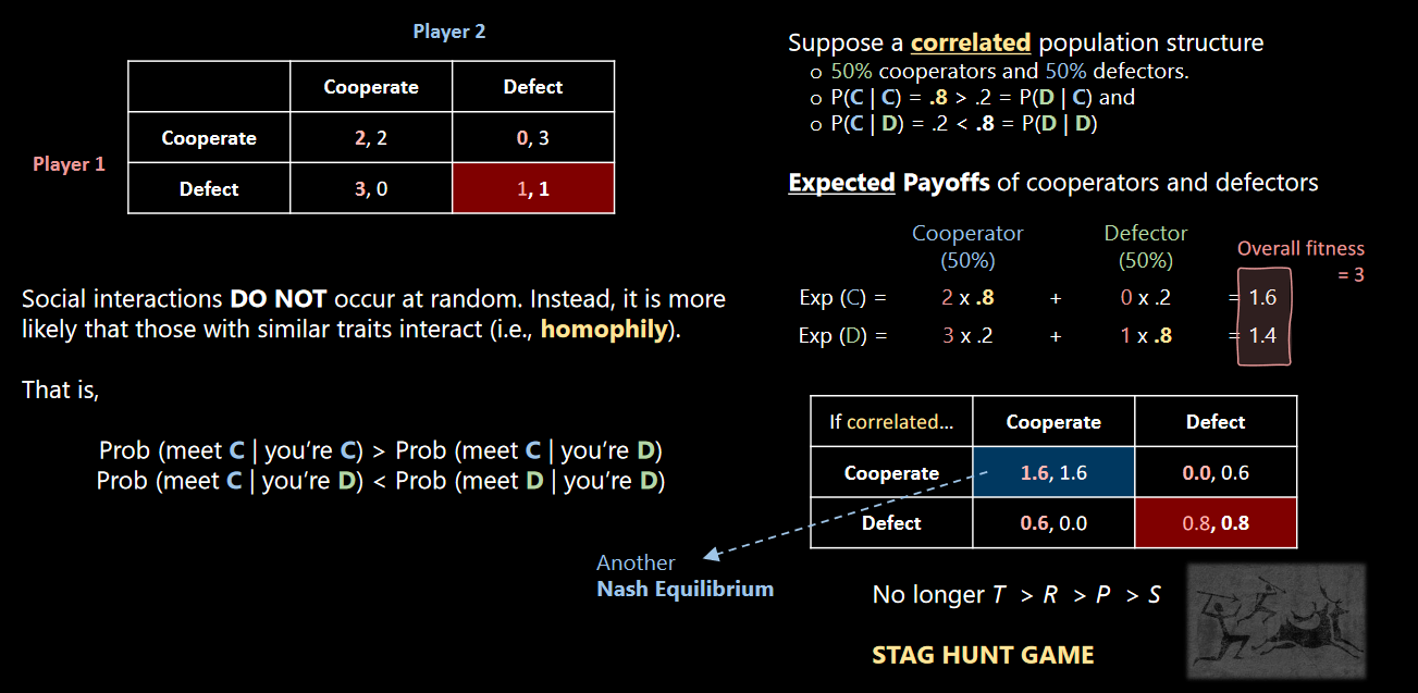 Correlated Social Structure