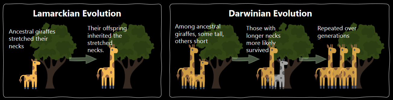 Differences Between Darwinian and Lamarckian Evolution