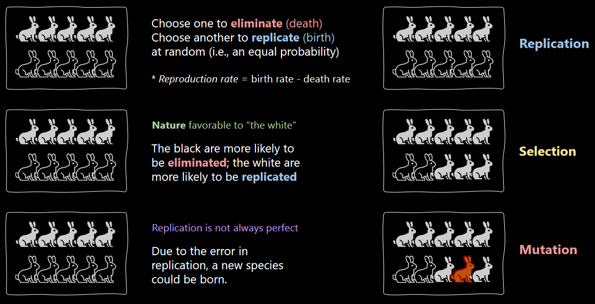 Mechanisms in Evolution