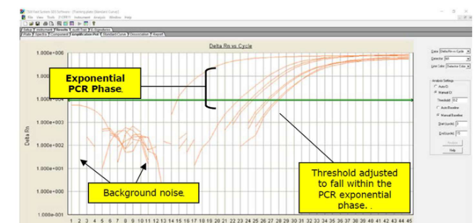 Amplification Plot of Test