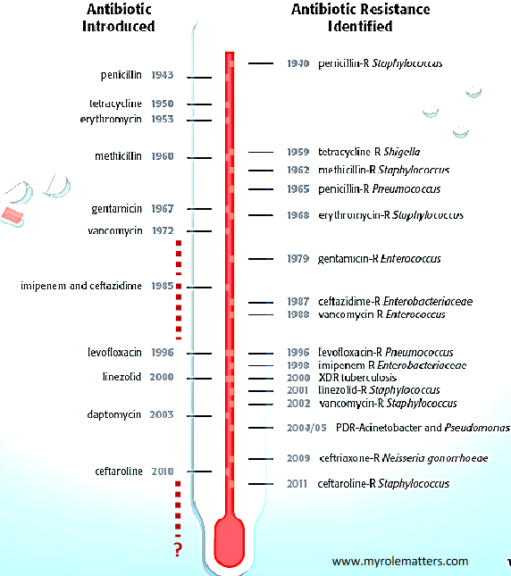 Key Events in the History of Antimicrobial Resistance