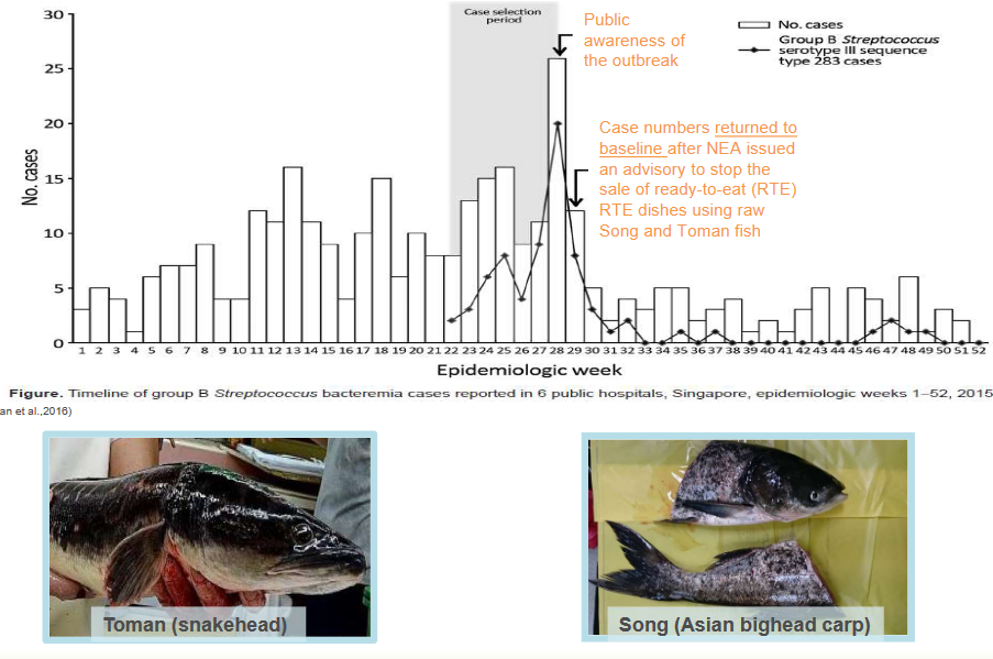 Statistics on the 2015 Group B *Streptococcus* Outbreak in Singapore