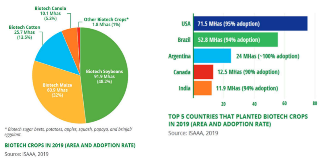 Top Crops and Countries for Commercial GM Crop Production